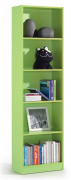 LIBRERIA VERDE 005422V